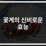 ‘바다의 보물’ 꽃게 영양효능 상세정보와 효능… 타우린부터 칼슘까지