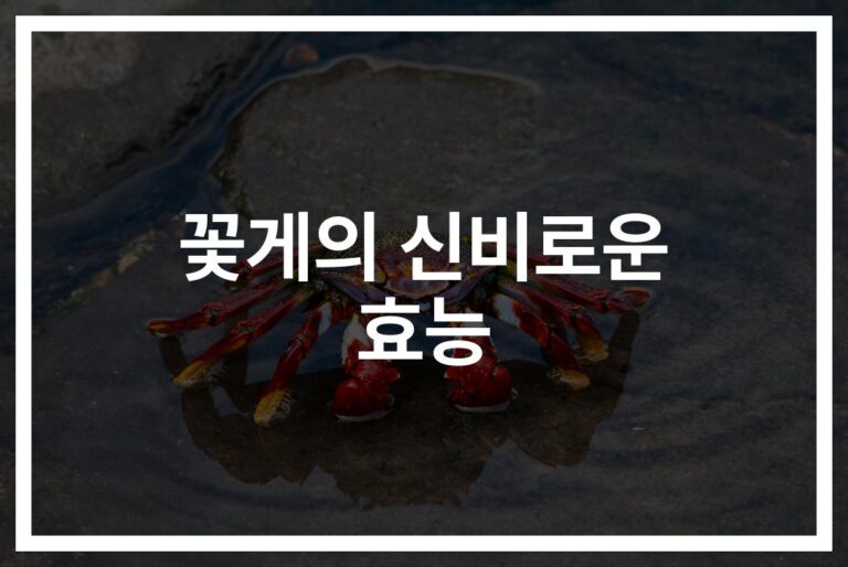 ‘바다의 보물’ 꽃게 영양효능 상세정보와 효능… 타우린부터 칼슘까지