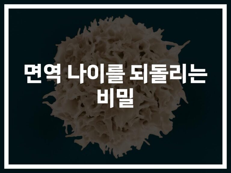 ‘면역 나이 초기화’ 방법부터 면역력 높이는 생활 습관까지… 현실적인 전략 총정리