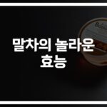 말차 건강효능과 효과… ‘젊음과 활력’ 담긴 한잔의 비밀