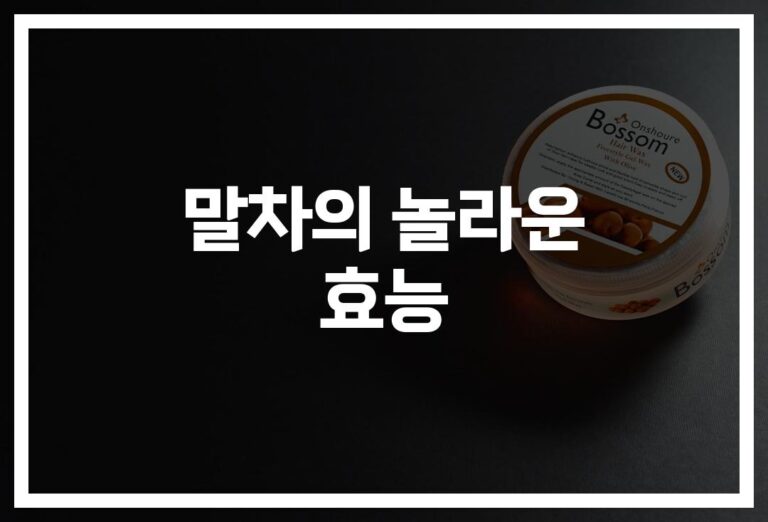 말차 건강효능과 효과… ‘젊음과 활력’ 담긴 한잔의 비밀
