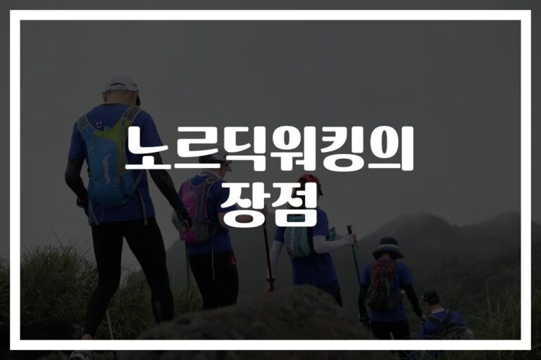 ‘하체 운동만 하셨다면 주목’… 노르딕워킹으로 체중감량 효과적인 방법