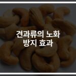 ‘하루 한 줌’으로 충분해… 견과류 노화 방지 효과에 대한 연구