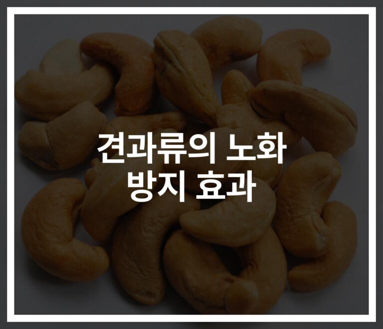 ‘하루 한 줌’으로 충분해… 견과류 노화 방지 효과에 대한 연구