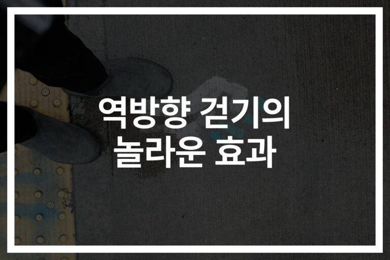 ‘하루 5분만 뒤로 걸어도’… 역방향 걷기로 얻는 건강 효과와 다이어트 이점
