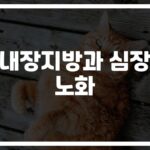 ‘내 심장이 벌써 늙었다고?’ 내장지방이 부르는 조용한 위험… 똑똑한 관리법