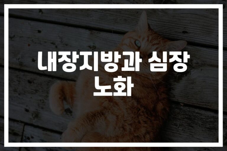‘내 심장이 벌써 늙었다고?’ 내장지방이 부르는 조용한 위험… 똑똑한 관리법