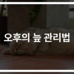 점심 후 졸음 관리 방법… ‘오후의 늪’에서 빠져나오는 현실적인 해결책