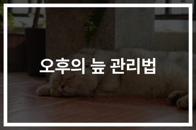 점심 후 졸음 관리 방법… ‘오후의 늪’에서 빠져나오는 현실적인 해결책