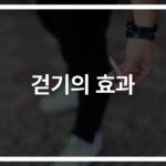 당뇨병 운동 치료, 효과적인 걷기운동 방법… ‘하루 30분’이 가져오는 놀라운 변화