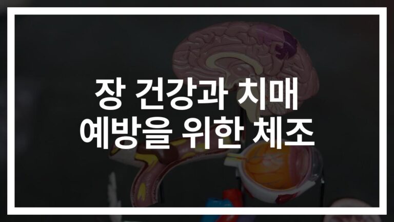 하루 10분이면 충분한 ‘장건강 치매예방 건강체조’… 장-뇌 건강 한번에 잡는다
