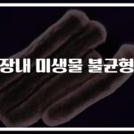 “밤낮없는 야근, 불규칙한 식사”… 장내 미생물 불균형 원인과 증상