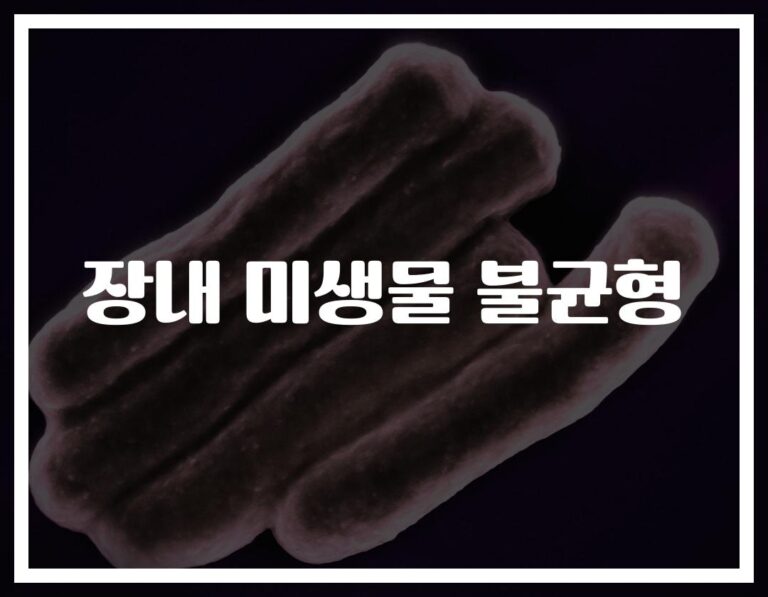 “밤낮없는 야근, 불규칙한 식사”… 장내 미생물 불균형 원인과 증상