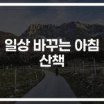 ‘5kg 감량’ 성공한 직장인의 비결…아침 산책 다이어트 효과