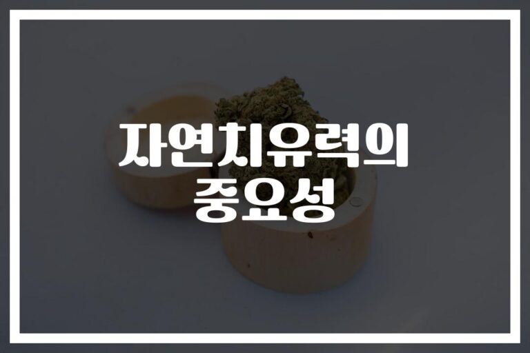 ‘내 몸 안의 의사를 깨우는’ 자연치유력을 높이는 방법