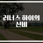 ‘달리기 중독자가 직접 느낀’ 러너스 하이 실체 뜻과 느낌