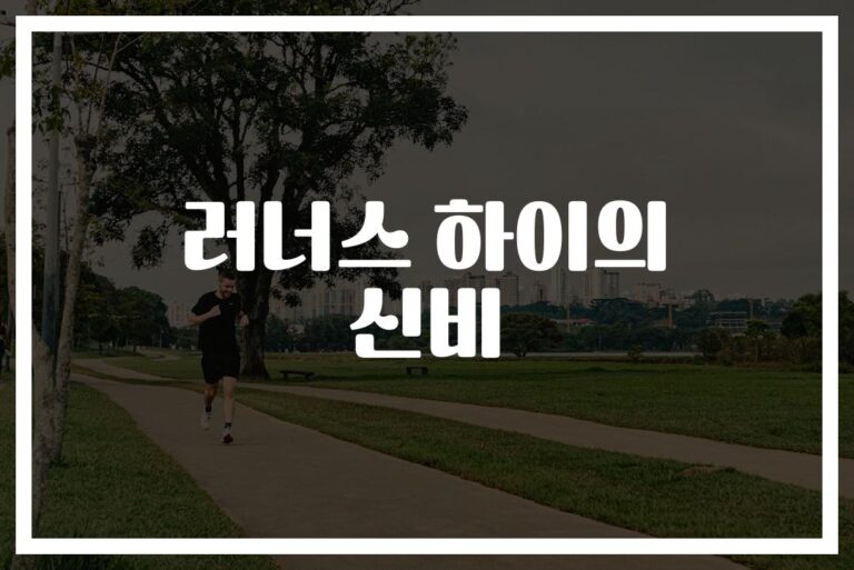 ‘달리기 중독자가 직접 느낀’ 러너스 하이 실체 뜻과 느낌
